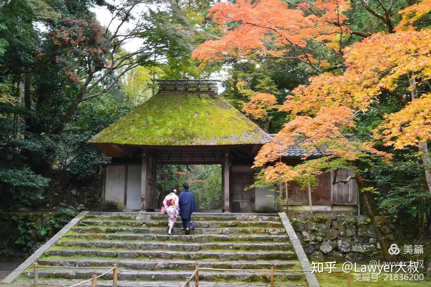 京都漫步二银阁寺失意将军的月亮庭院