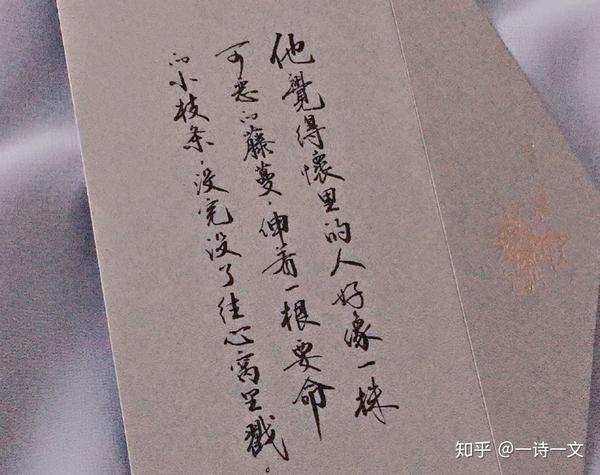 最真的爱,总是坦诚相待,最懂的人,总是无可取代