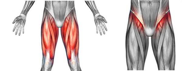 髋关节疾病引起的大腿牵涉痛,通常位于大腿前方,止于膝关节,有时伴有