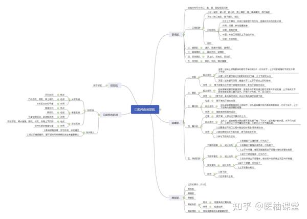 口腔医学思维导图分享