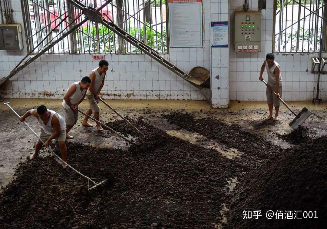 温文儒雅六轮次茅台酒传统酿造工艺影像探秘之九