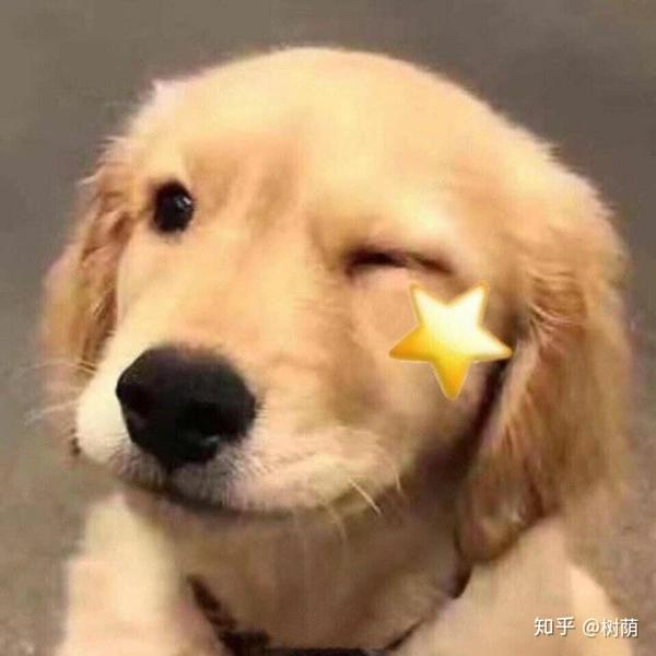 你们有哪些笑死人不偿命的sd表情包?