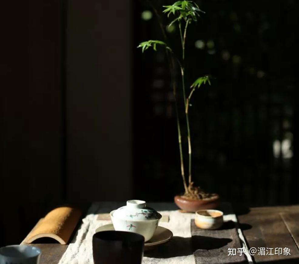一旦你开始喝茶从内到外都会变