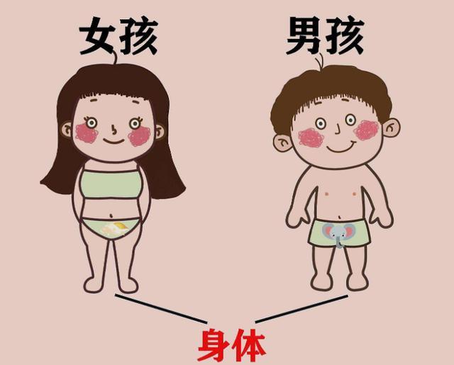 幼儿性别教育丨孩子性启蒙丨男孩女孩生理健康认知启蒙绘本经典整理