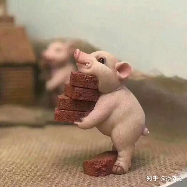 不如跟我一样 搬砖