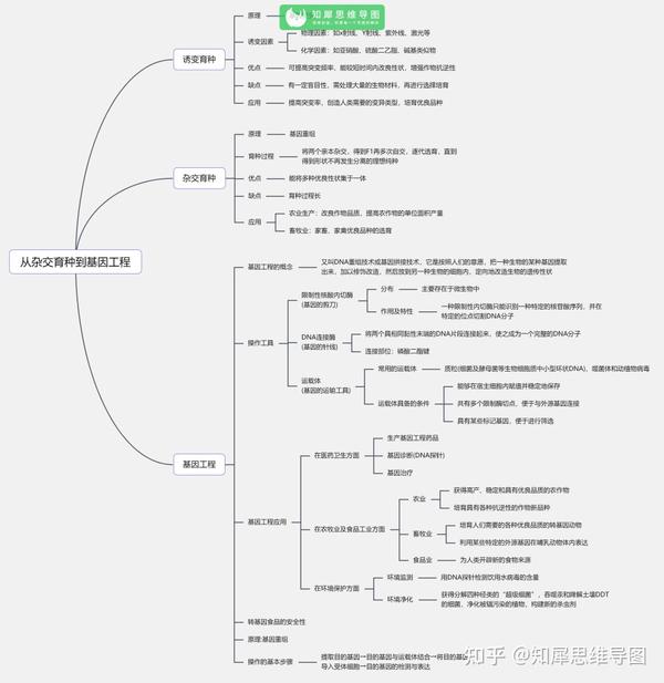 高中生物思维导图人教版知识框架图