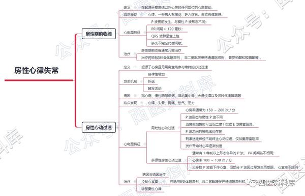 内科学思维导图笔记–第四篇–心律失常