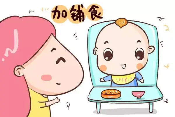 添加辅食种类