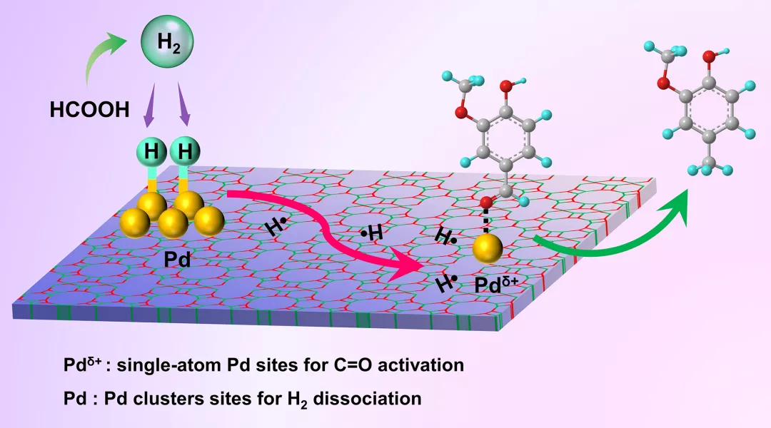 pd单原子团簇催化剂协同高效催化香草醛选择性加氢脱氧反应