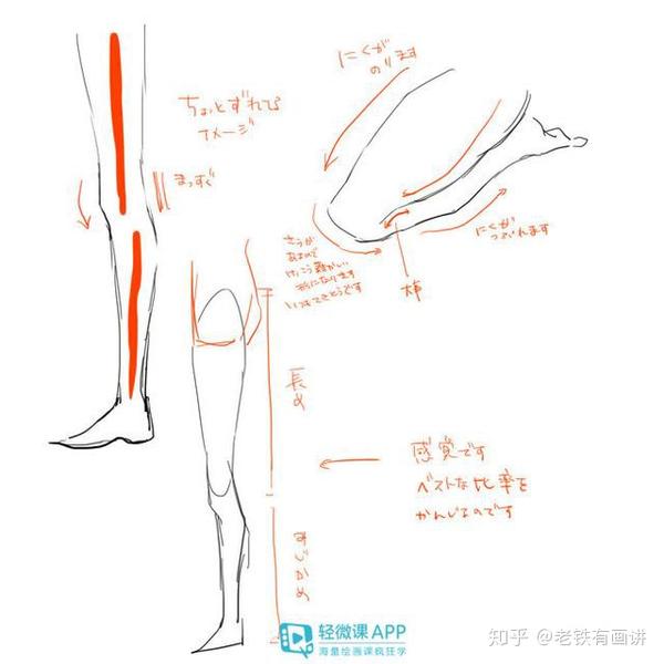 膝盖绘画教程,膝盖画法学习步骤