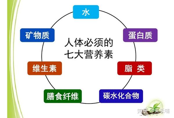 美乐哺宝宝生长发育这7大营养素缺一不可