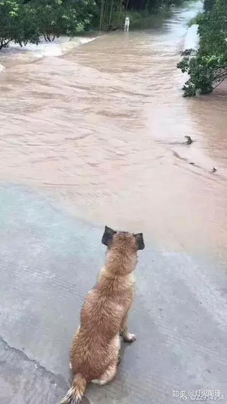 北京暴雨搞笑合集那些年错过的大雨现在全部还给你