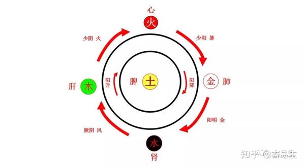 五行与脏腑的关系分析