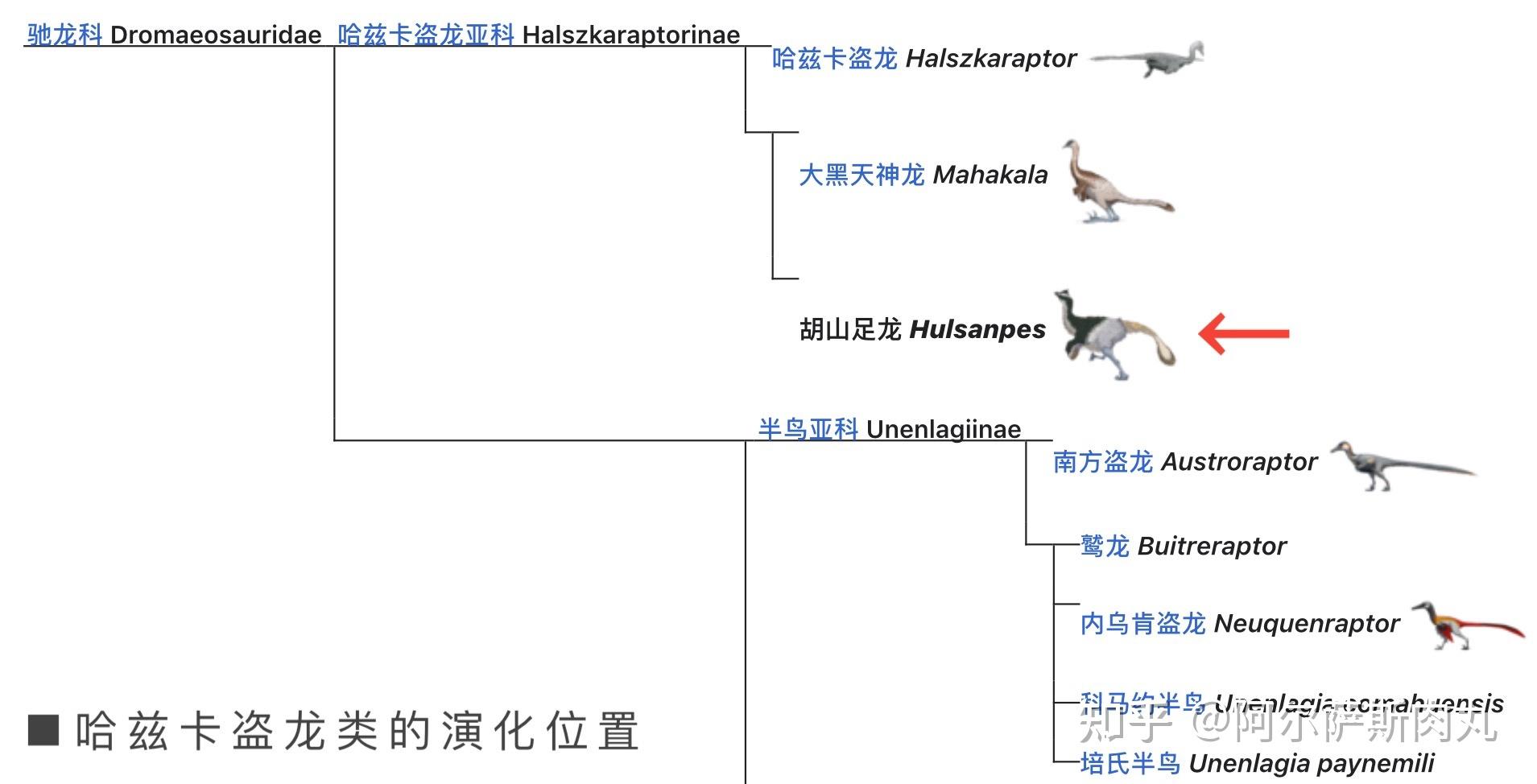 legendofcretaceous丨白垩传8龙驰天下下