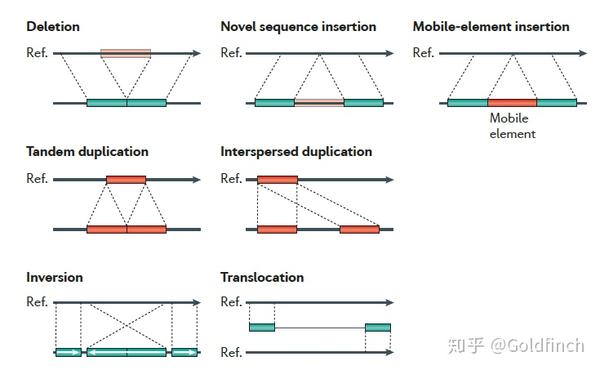 基因组结构变异之词汇,概念,分析方法