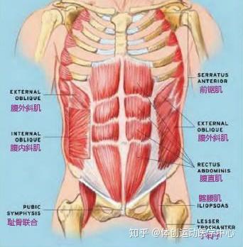 2,不要把肌肉吸进去,而是温和地绷紧腹腔壁,感觉手指就像被推出来了一