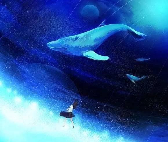因为科学家们发现它发出的声音频率是52赫兹,而其它的鲸鱼发出的声音