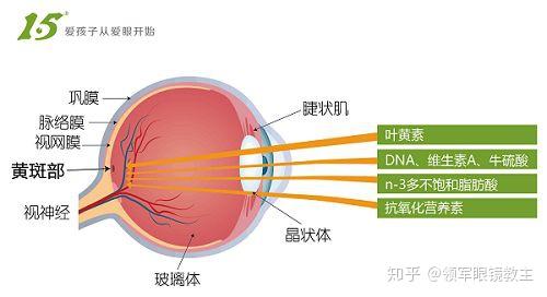 眼睛里有块红斑是眼底出血吗别再傻傻分不清了这四类人需要格外注意