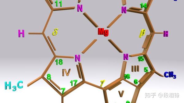 核心是中间那个卟啉环,其功能通过当中单键和双键的改变来吸收可见