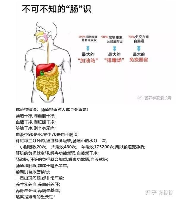 便秘了,泻药种类繁多-选哪个好呢?