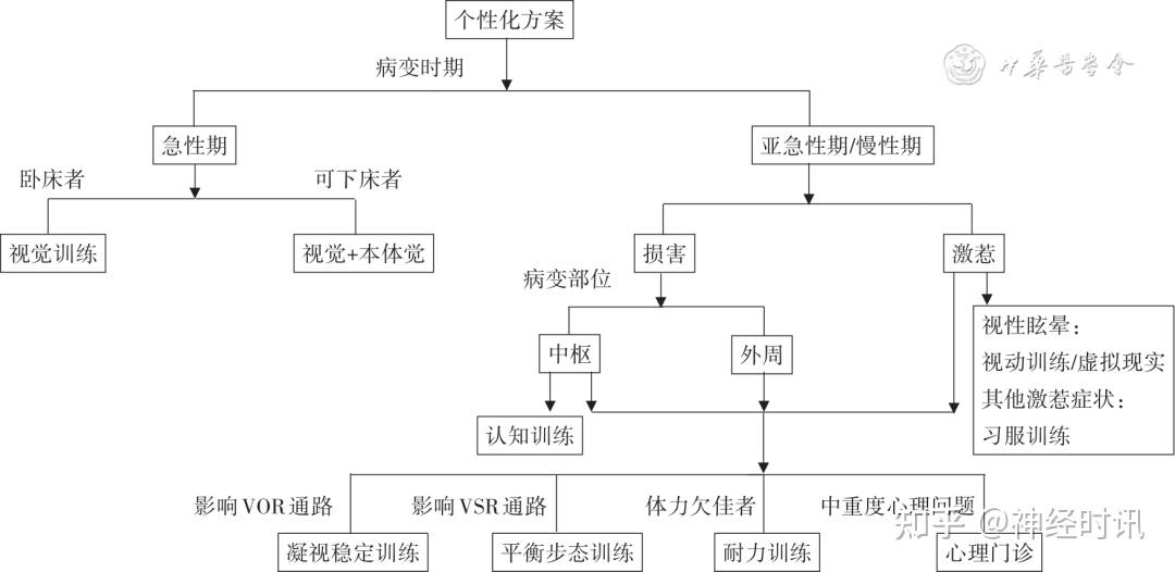 前庭-脊髓反射▲图1个性化前庭康复方案制定策略流程图患者的定期随访