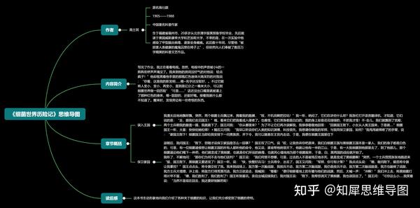 细菌世界历险记的思维导图怎么画?整书内容整理脑图汇总