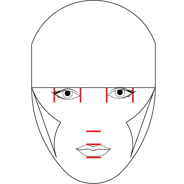 ai标准化人脸设计图解教程