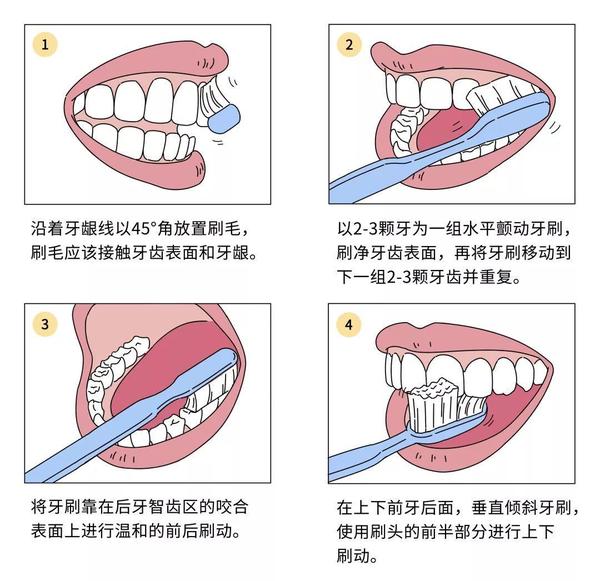 睡前不刷牙,危害竟然这么大!