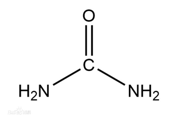 图1:脲 尿素是一种简单的有机小分子,又称为碳酰胺(carbamide),化