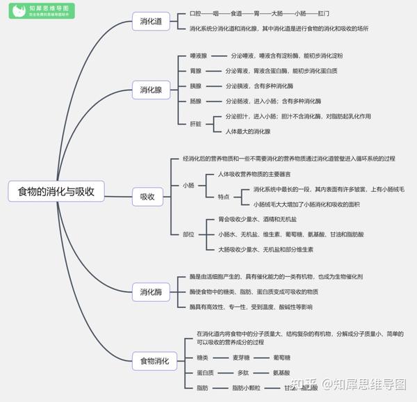 初中生物思维导图(全套) -24张生物知识框架图整理