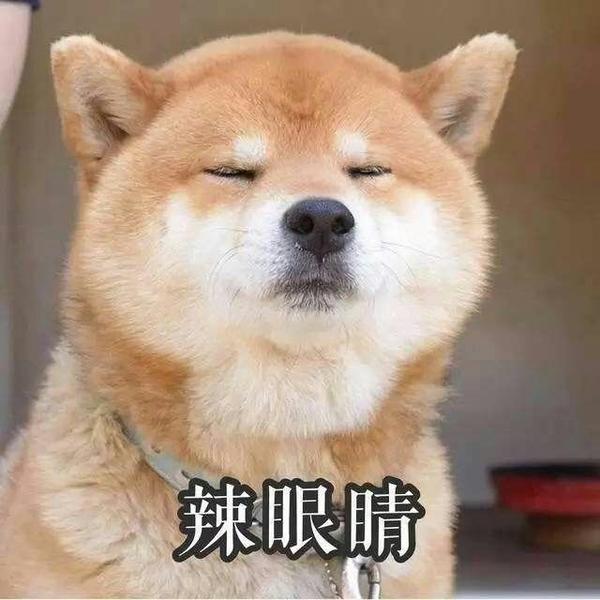 你睡觉醒来发现自己睡懵了以后都做过什么搞笑的事情?