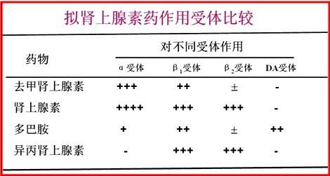 于是,出现收缩效应的血管,例如皮肤黏膜及内脏血管的肾上腺素受体就被