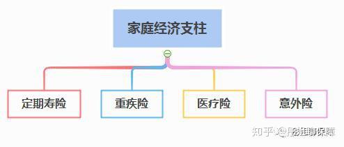 1,家庭经济支柱该怎么买?
