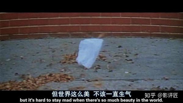 《美国丽人》:你只注重花期,只能看到花开,但花儿有一生的优雅
