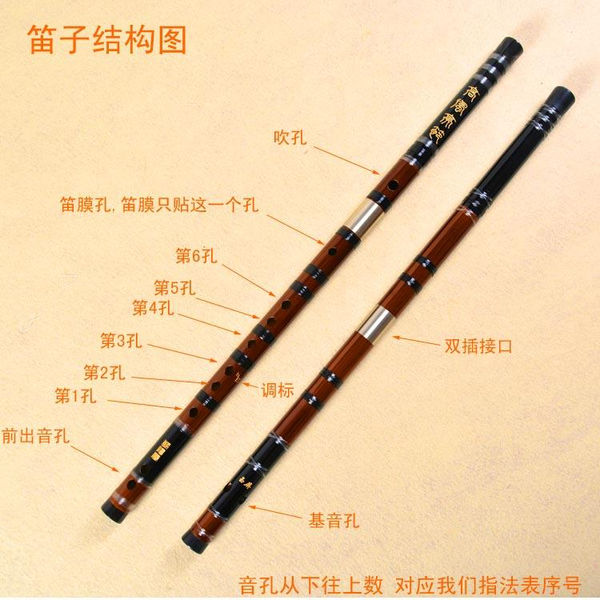 自学笛子的历程:竹笛构造结构介绍