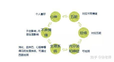 情绪对于健康,作用大到超出你想象!