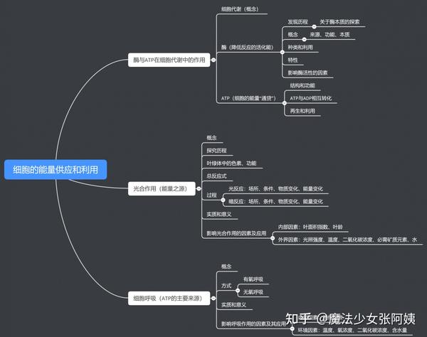 干货| 沪教版高中生物思维导图