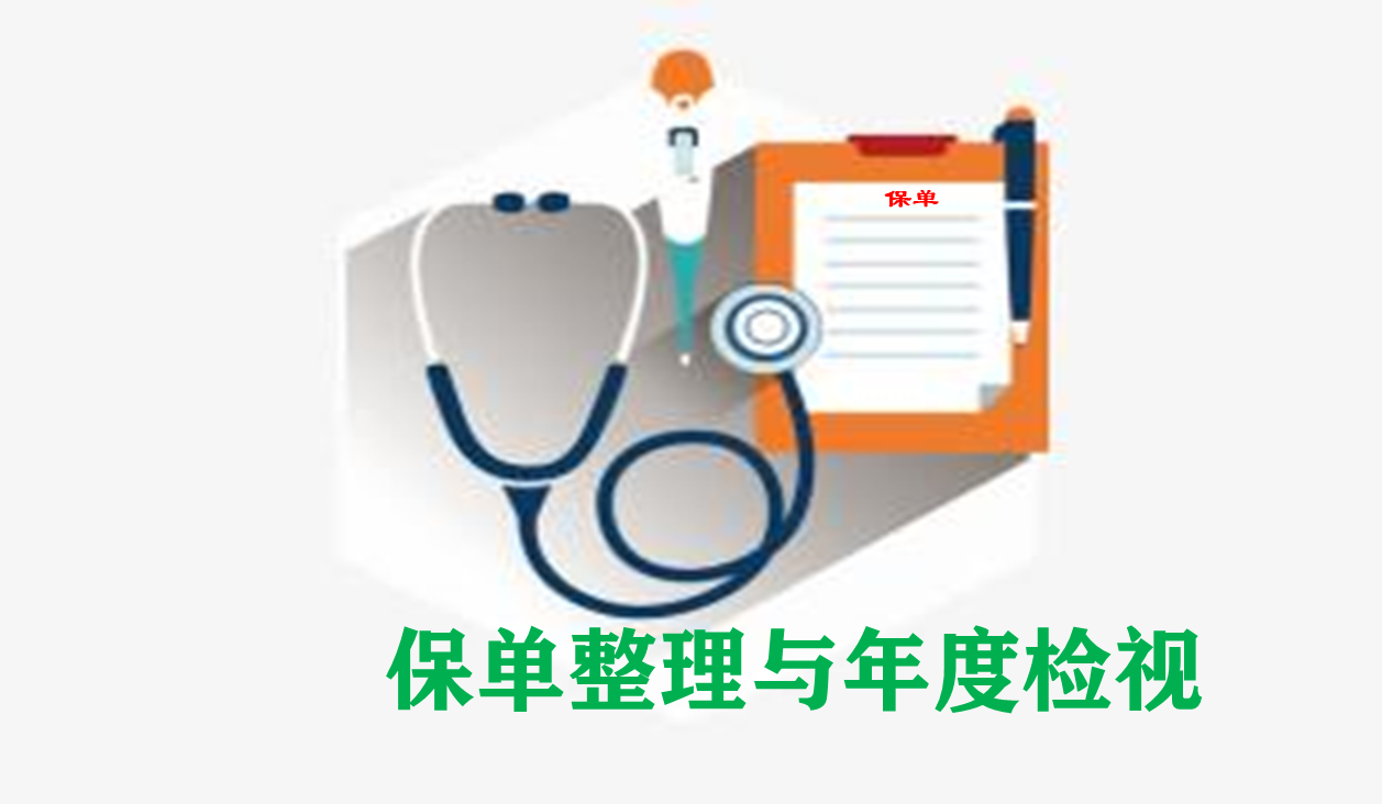如何进行保单整理和年度检视