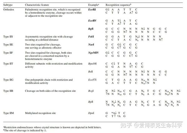 IIS型限制内切酶Golden Gate克隆的好帮手 知乎