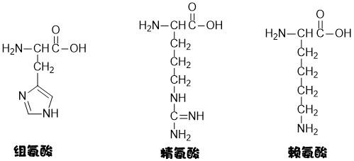 氨基酸嘌呤嘧啶结构式的记忆来呀背呀