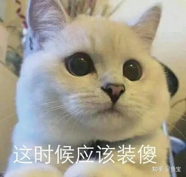 可爱又沙雕的表情包,臭宝们收好吖