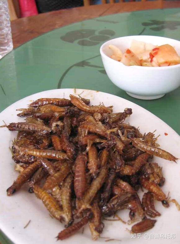 经常跑云南耍,这么多云南美食你都吃过了吗?