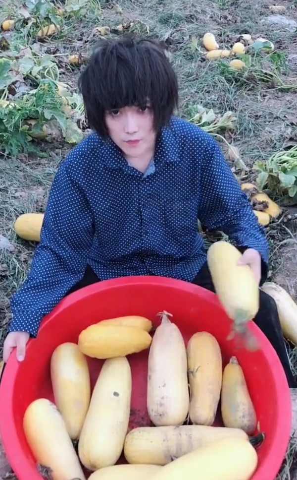 如何评价葬爱家族大皇子