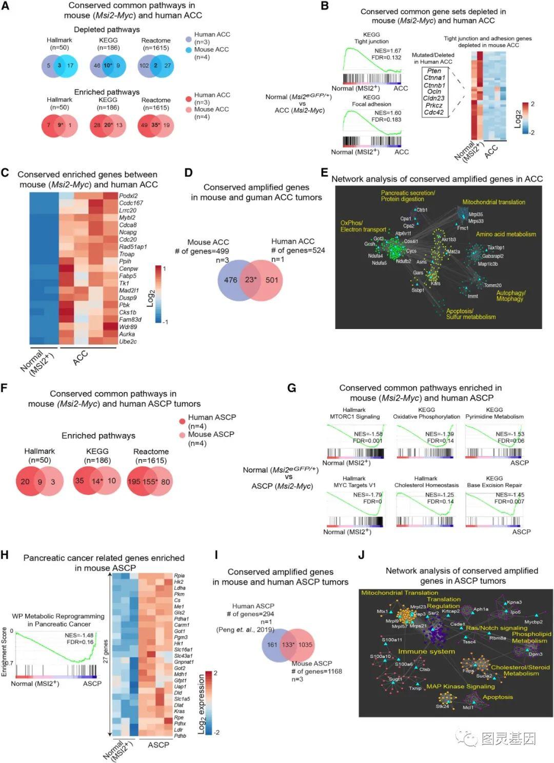 Cancer Cell 单细胞图谱发现 MSI 细胞是胰腺癌不同亚型的共同来源 知乎