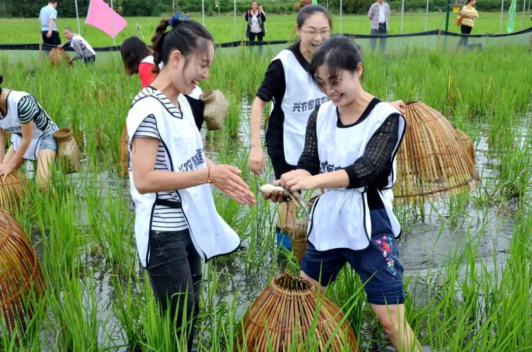 80后是怎样浑水摸鱼的?