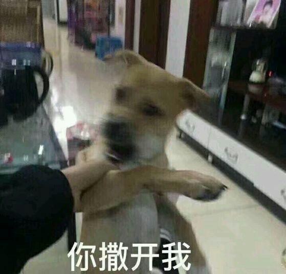 你们好残忍  显示全部