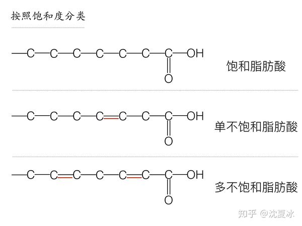 同样,如果脂肪酸分子中有且只有一个双键,我们就称之为单不饱和脂肪