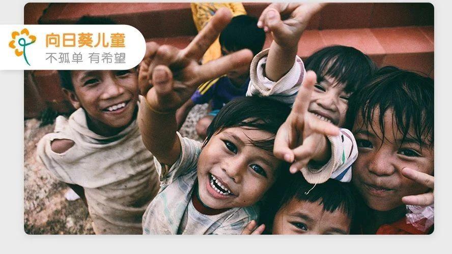十五年全球儿童白血病治疗回顾中国曾以106生存率倒数第一向日葵科普