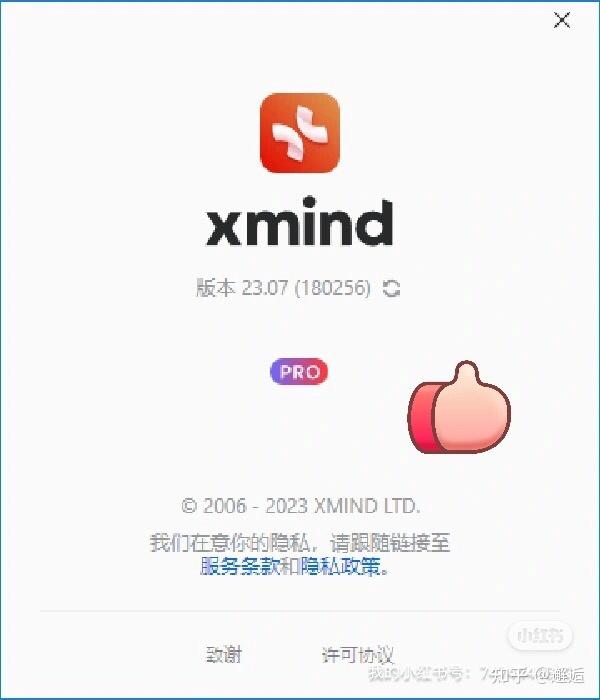 Xmind Pro和Xmind区别到底有多大 知乎