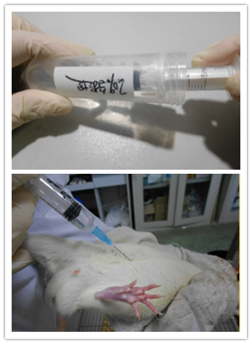 injury,riri)是临床上常见的眼病,主要发生于视网膜中央动静脉栓塞